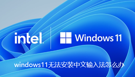 windows11无法安装中文输入法怎么办-windows11无法安装中文包语言包的解决步骤