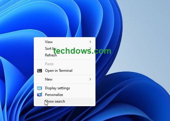 如何在 Windows 11 中启用和禁用桌面搜索栏