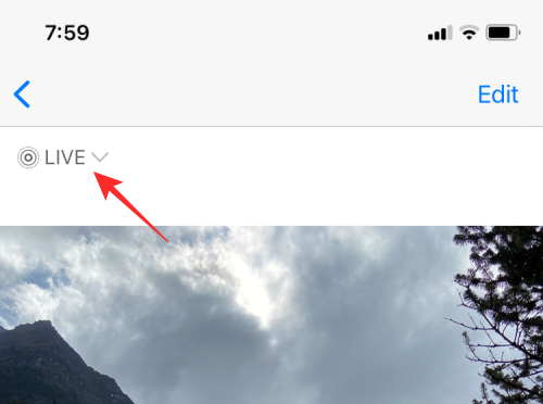 loop-a-video-on-iphone-23-a