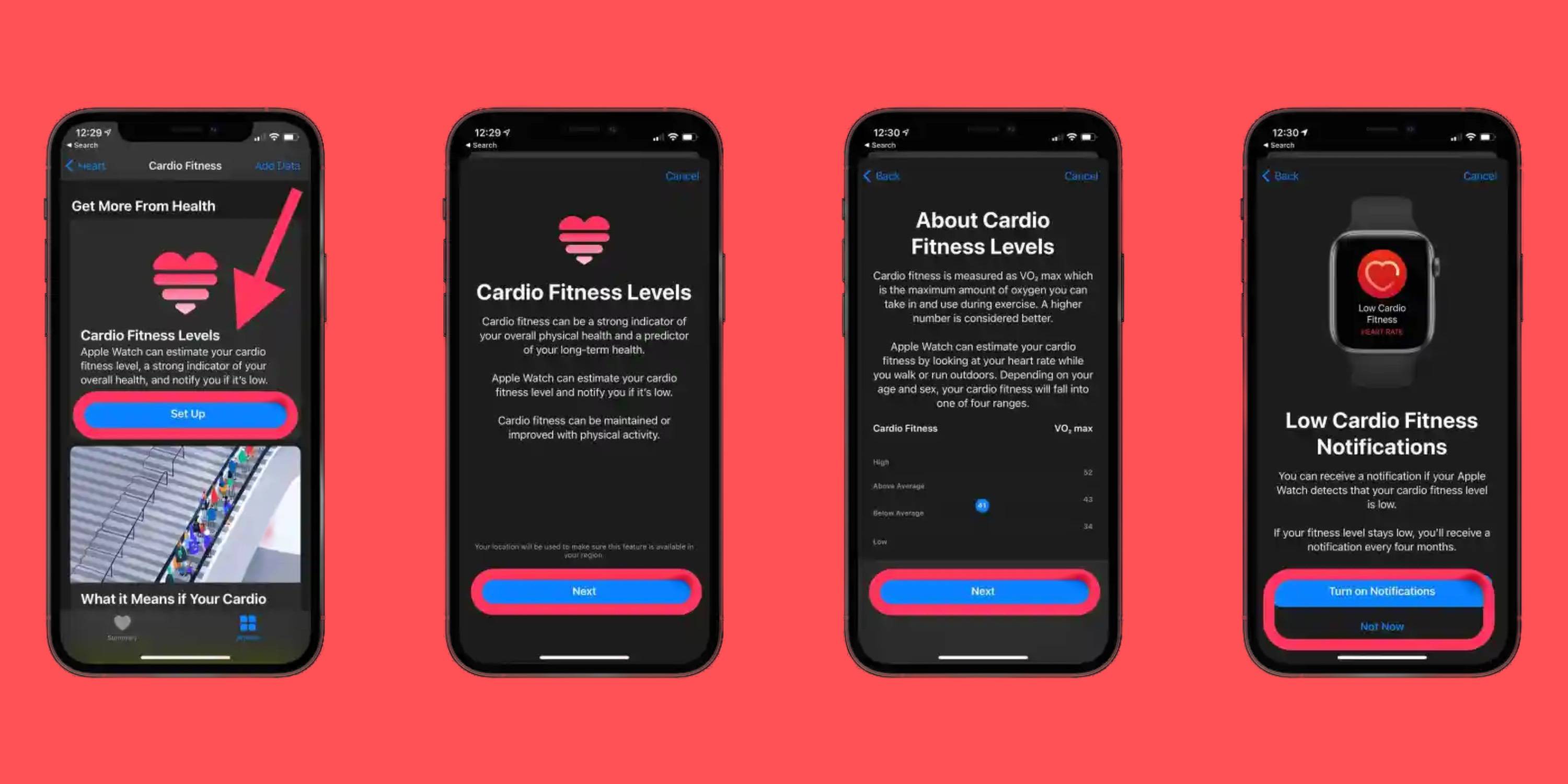 Apple Watch 和 iPhone 上设置 Cardio Fitness 的方式和原因