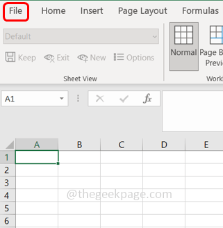 file-tab