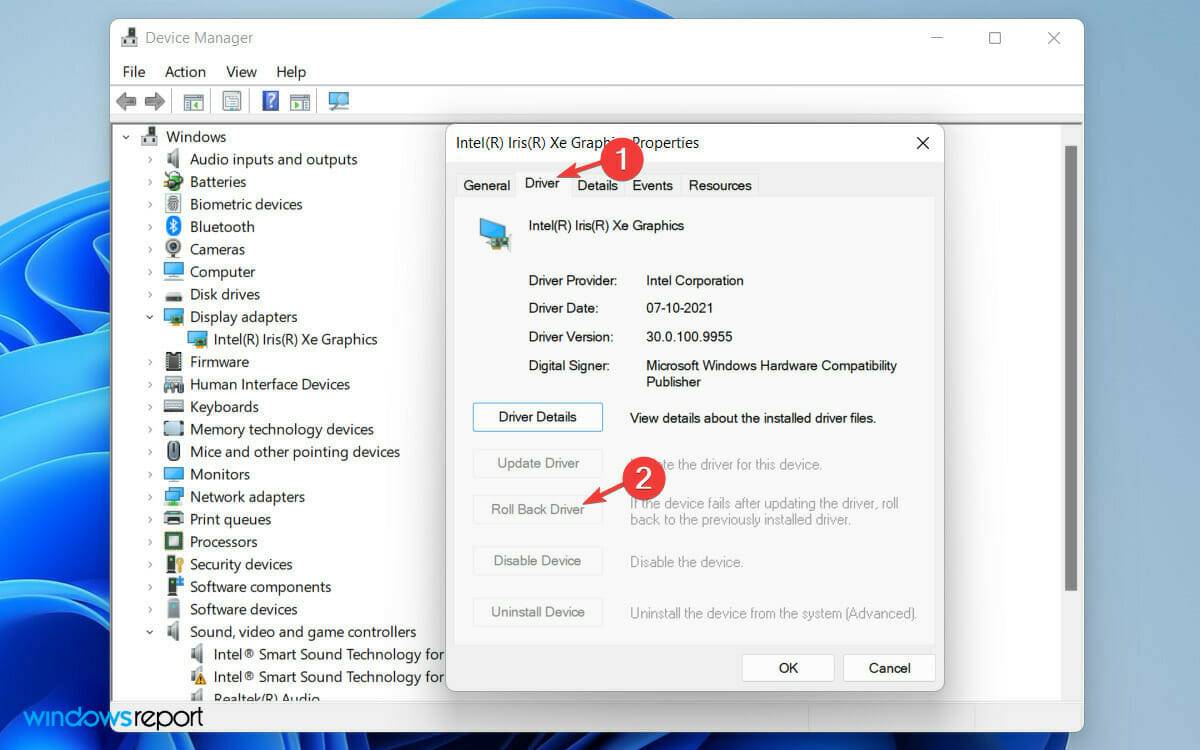 rollback-display-driver-wr