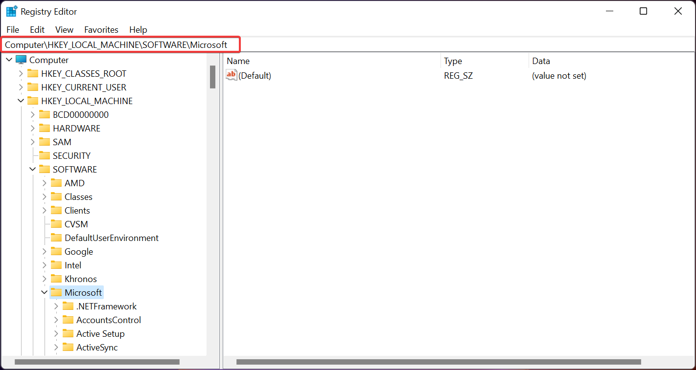 reg-microsoft1
