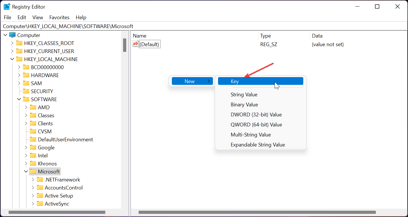 reg-microsoft2