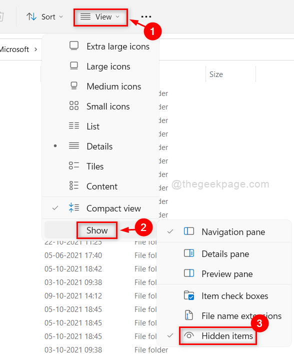 show-hidden-items-file-explorer
