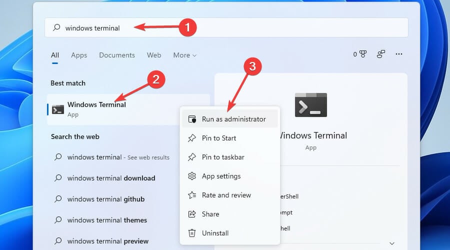 要禁用的 Windows 11 服务：如何安全地执行此操作