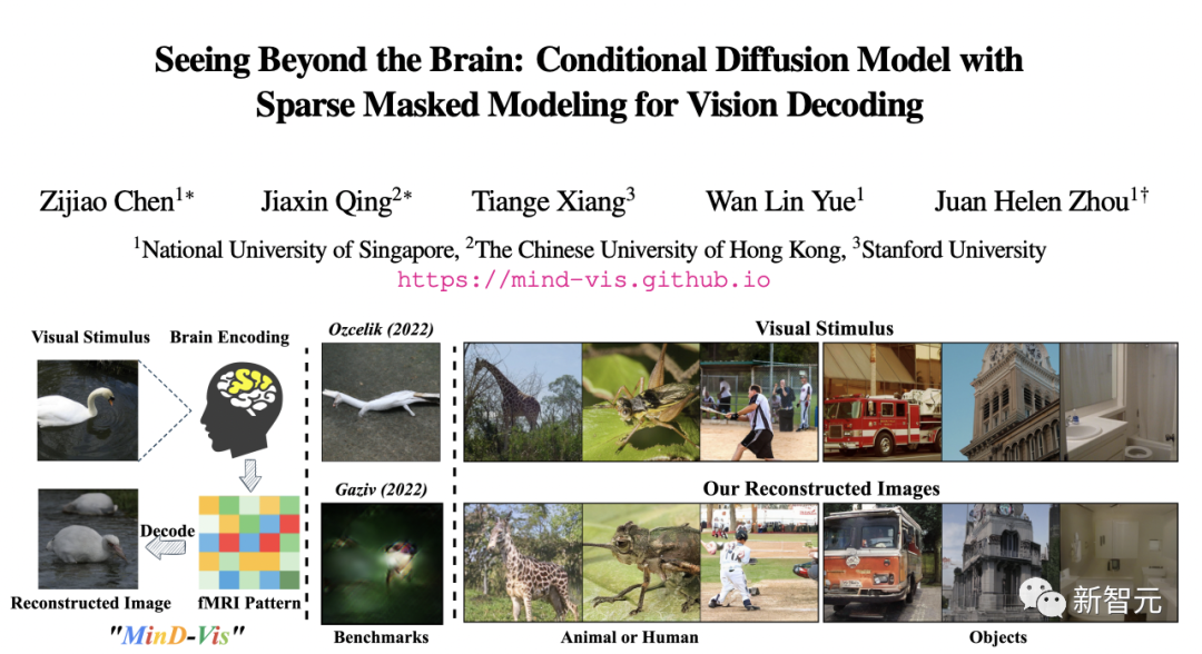 AI读脑炸裂！扫描大脑画面，Stable Diffusion逼真复现图像
