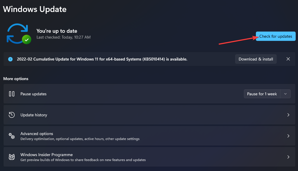 check-for-updates-option