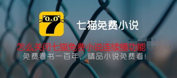 怎么关闭七猫免费小说连续播功能-关闭七猫免费小说连续播功能方法介绍