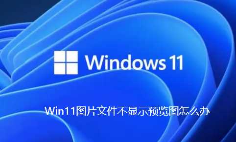 Win11图片文件不显示预览图怎么办-Win11图片文件不显示预览图解决方法