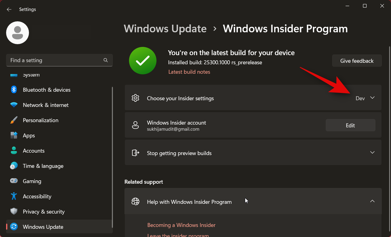 如何安装 Windows 11 金丝雀版本