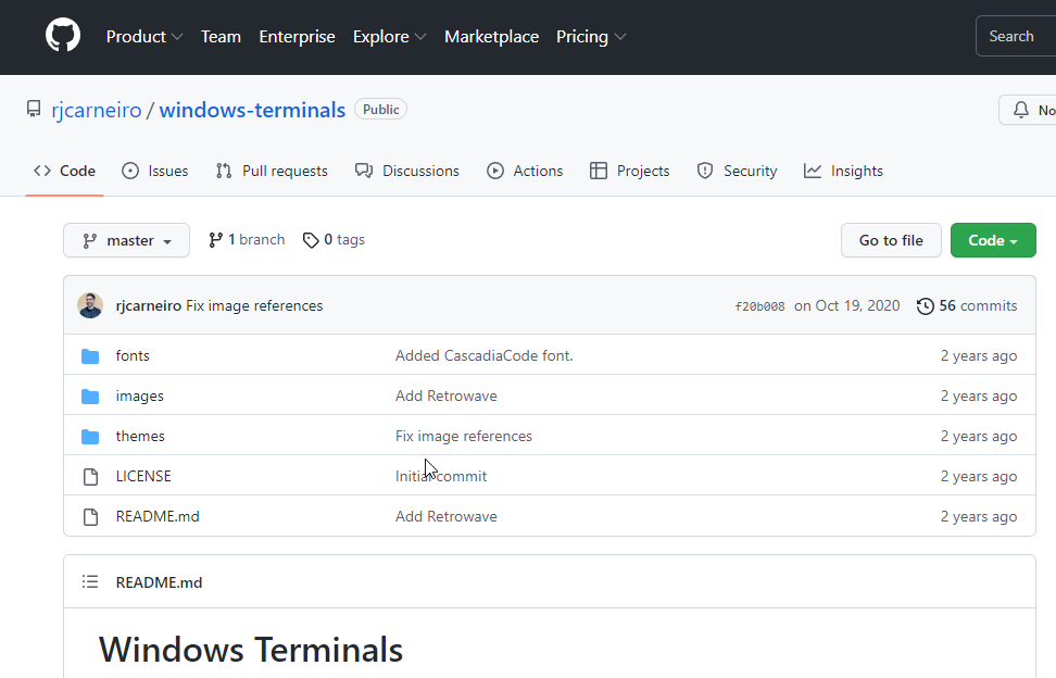 如何在 Windows 11 中下载和安装终端主题