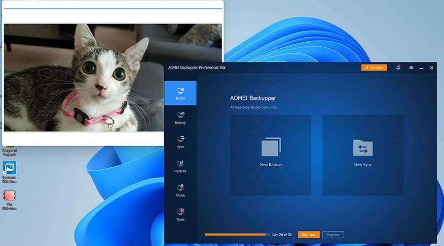 image-and-migration