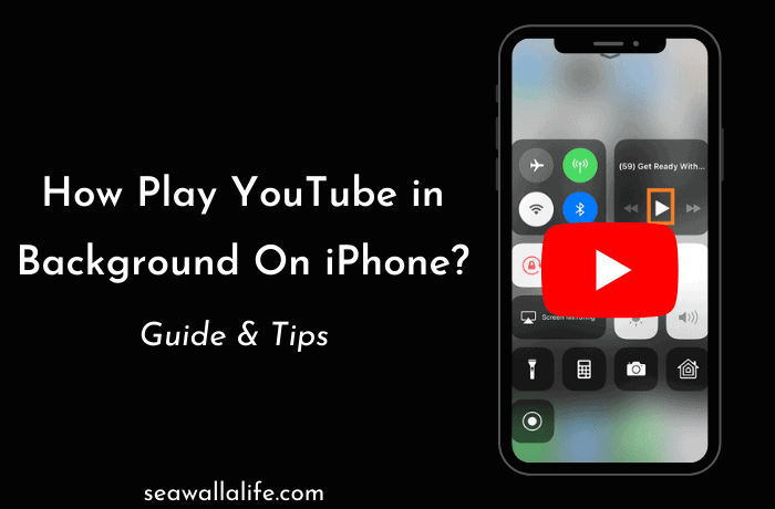 如何在iPhone 13上的后台播放YouTube?