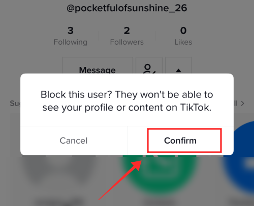 tiktok-block-8