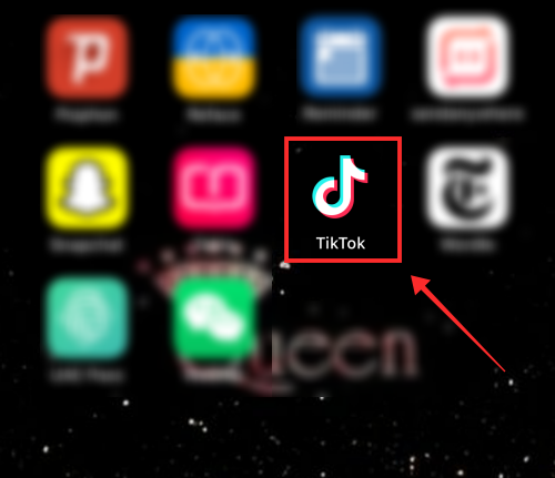 2022 年阻止 TikTok 的 5 种方法,包括您是否已经被阻止