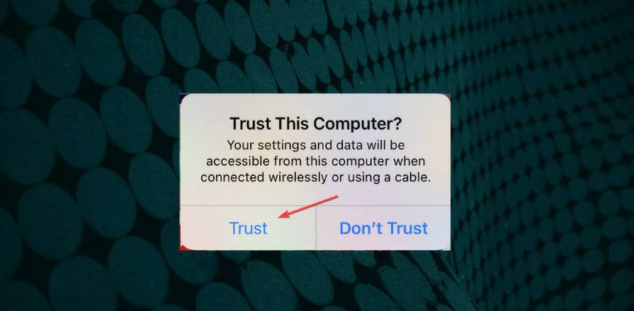 trust-option-1