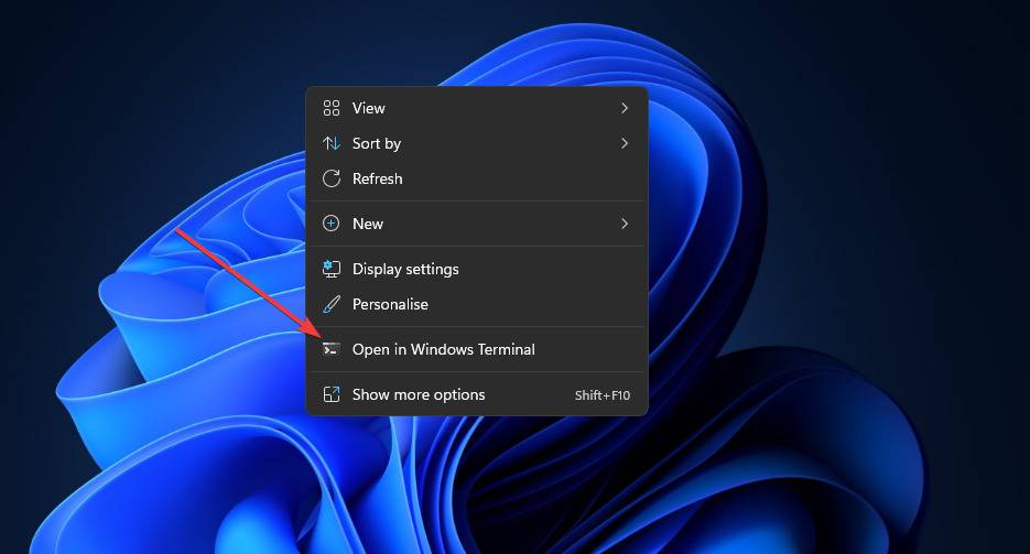 5 个以上简化操作系统的最佳 Windows 11 提示和技巧