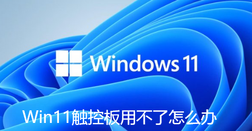 Win11触控板用不了怎么办-Win11触控板失灵的解决步骤
