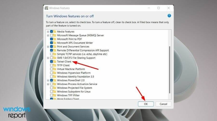 telnet-client-windows-11