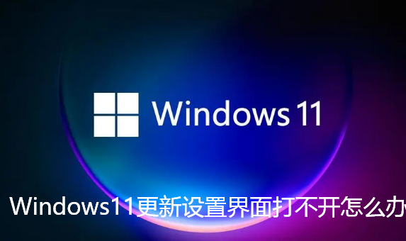 Windows11更新设置界面打不开怎么办-Windows11更新设置界面打不开的解决步骤