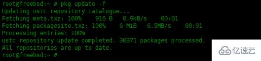如何在FreeBSD 13上安装和配置MySQL数据库
