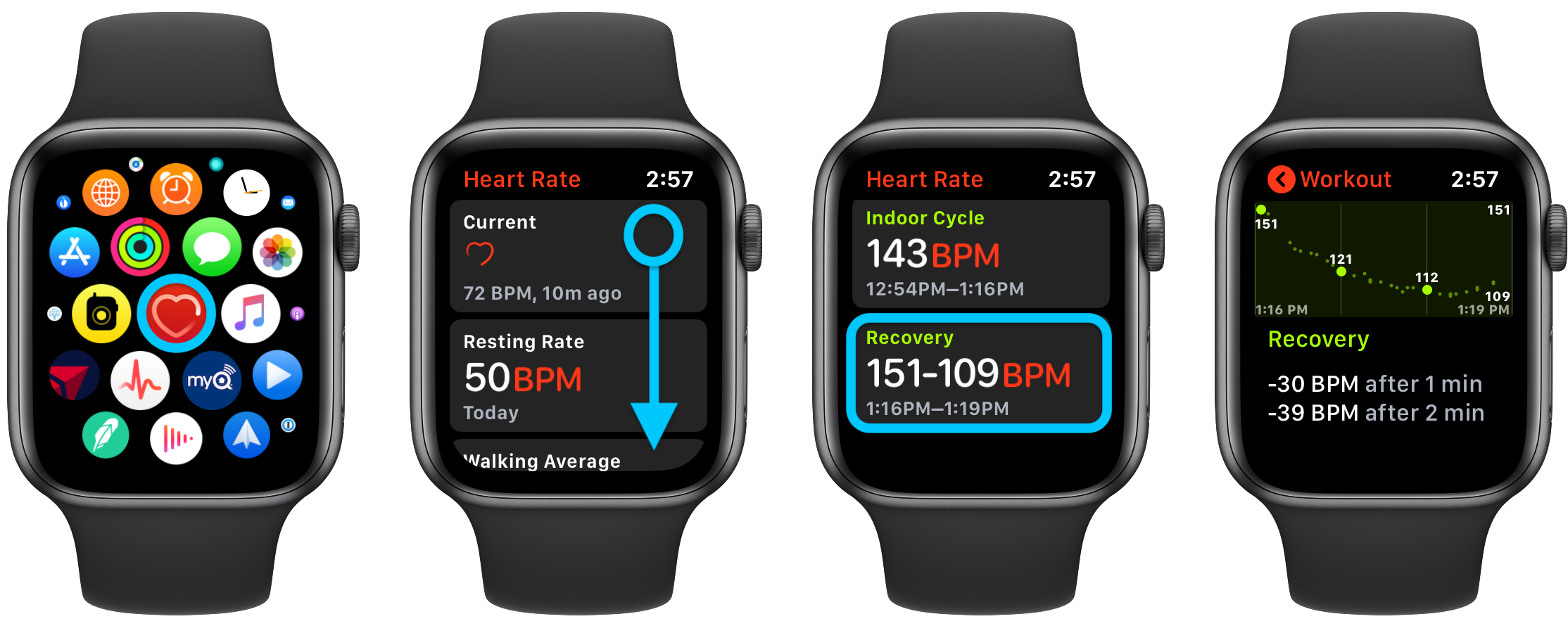 什么是 Apple Watch 心率恢复?这就是为什么它很重要以及如何使用它