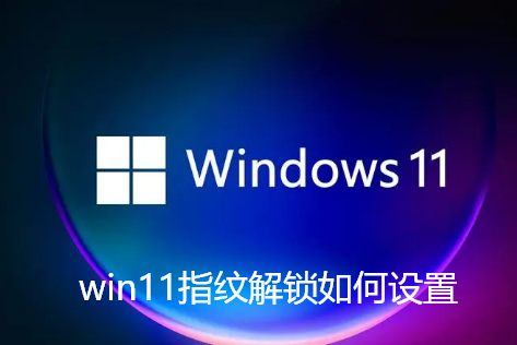win11指纹解锁如何设置-win11指纹登录设置教程
