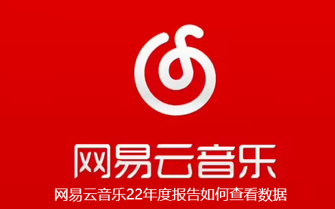 网易云音乐22年度报告如何查看数据-网易云音乐22年度报告查找指南