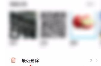 vivo浏览器怎么恢复删除的视频文件