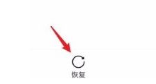 vivo浏览器怎么恢复删除的视频文件