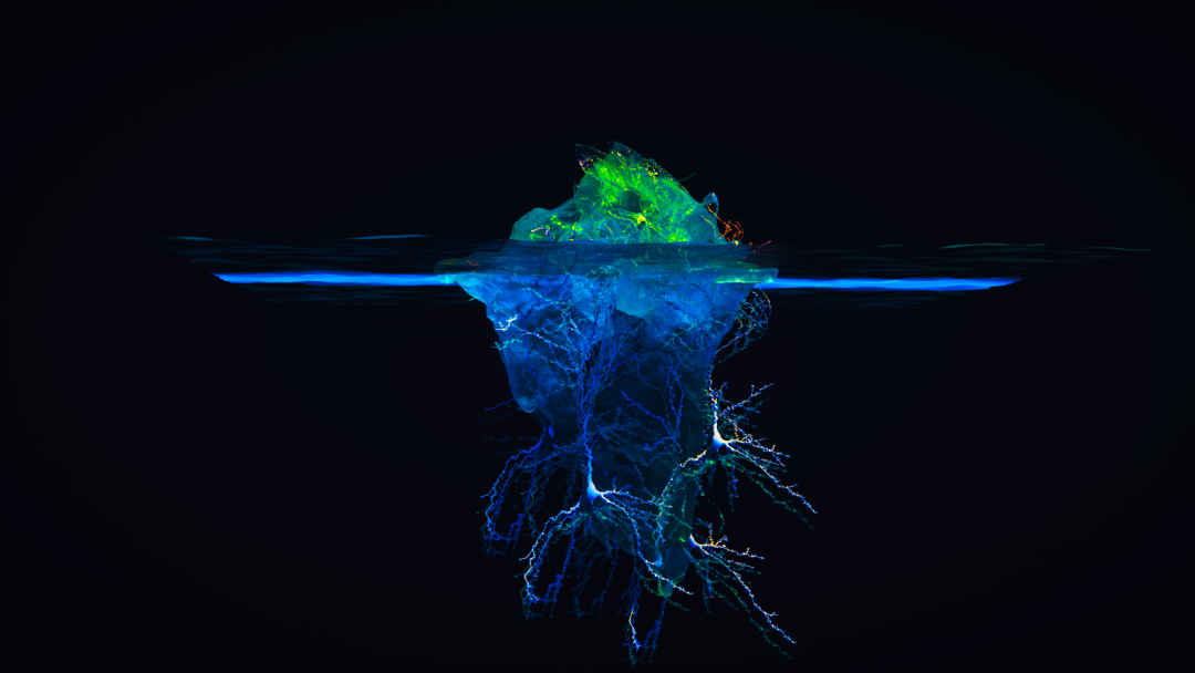 AI读心重磅突破登Nature！大脑信号1秒被看穿，还能预测未来画面