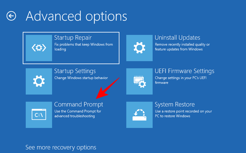 修复 Windows 11 中损坏的注册表项的 10 种方法：分步指南