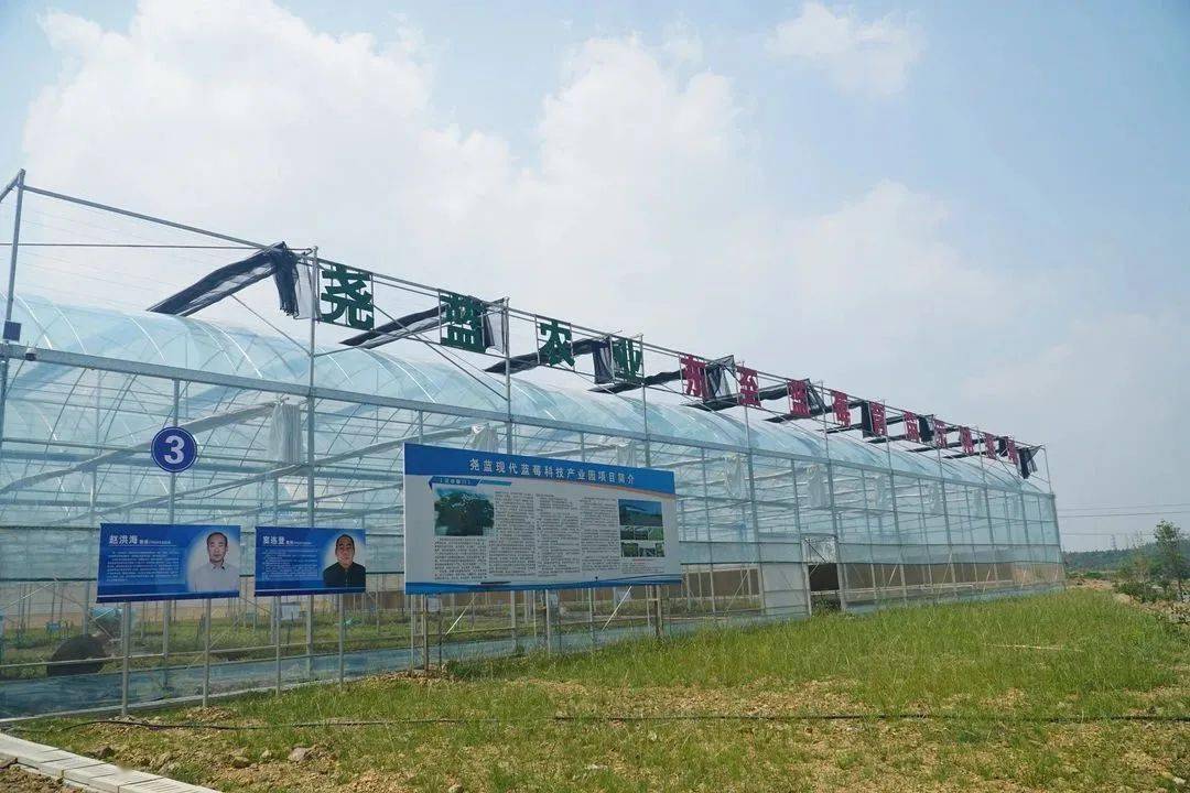 池州这个种植基地运用5G物联网技术一人能管一千亩地！