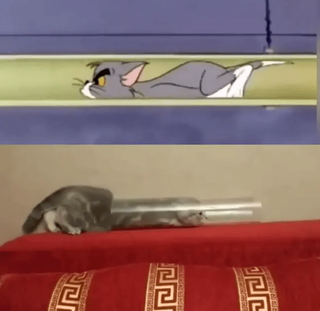 在贴吧封神的《猫和老鼠》，凭什么能战胜AI作画？
