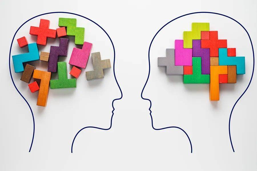 人工智能可以教给我们什么？
