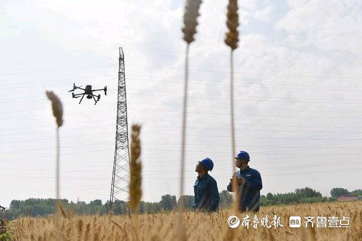 “三夏”农忙保障用电，无人机高空巡视高压线