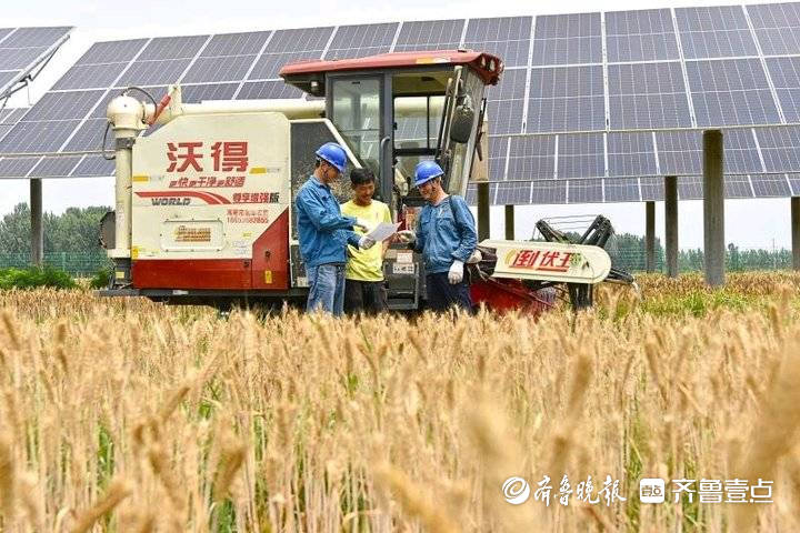 “三夏”农忙保障用电，无人机高空巡视高压线
