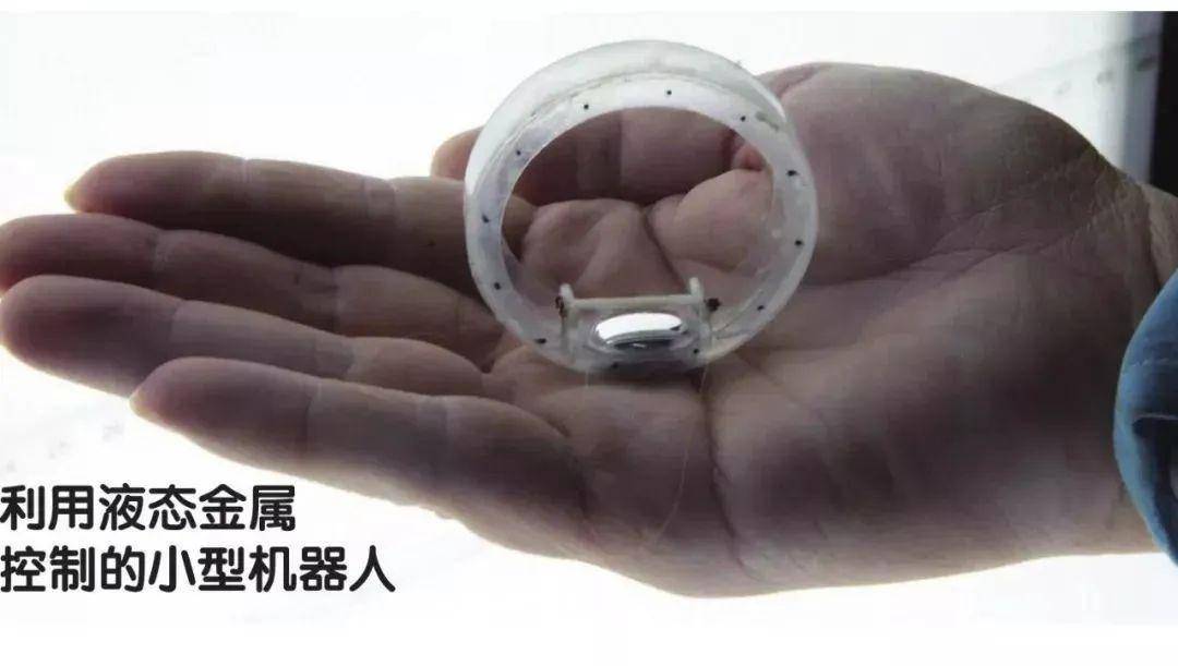 未来控制人类的将是液态机器人？