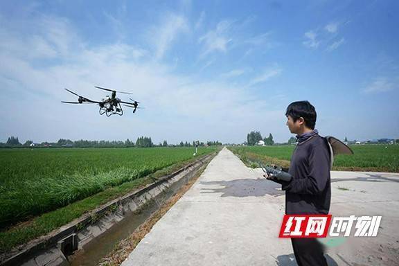 大通湖区:科技赋能 无人机助力绿色农业发展