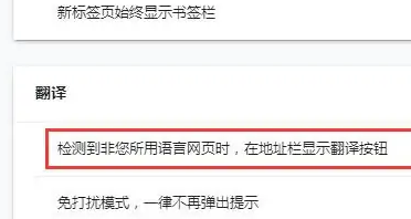 小白浏览器怎么开启自动翻译功能
