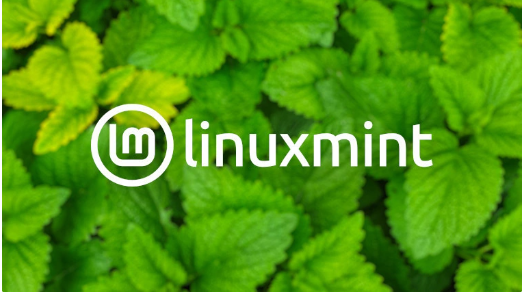 Linux Mint 21.2 正在测试中,预计推出 Cinnamon、MATE 和 Xfce 三个版本