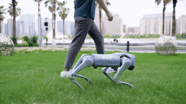 自研4D激光雷达L1 + GPT大语言模型 宇树Unitree Go2四足机器人有啥黑科技？