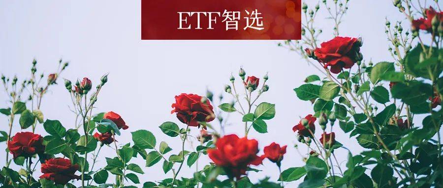 人形机器人概念集体爆发,能买吗?