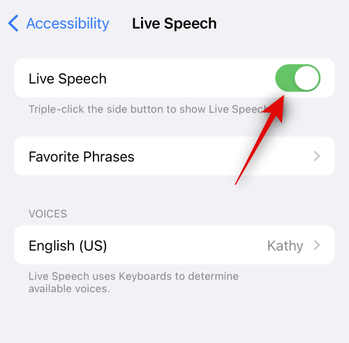 如何在 iOS 17 上设置和使用个人语音