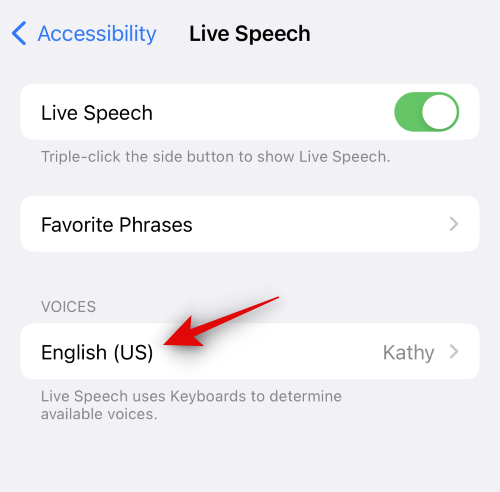 如何在 iOS 17 上设置和使用个人语音
