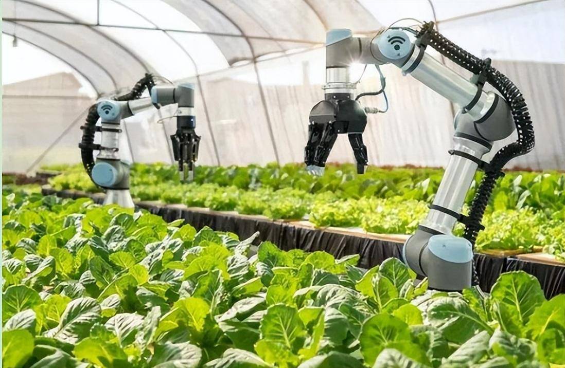 业内:种养结合成为农业主推技术;专家:人工智能是智慧农业新风口
