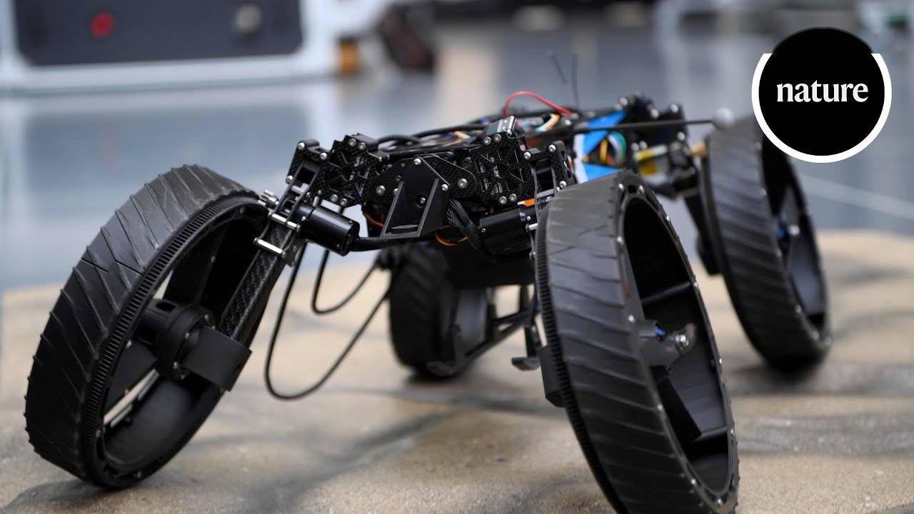 能走、能飞、能游泳,科学家打造全能 M4 机器人