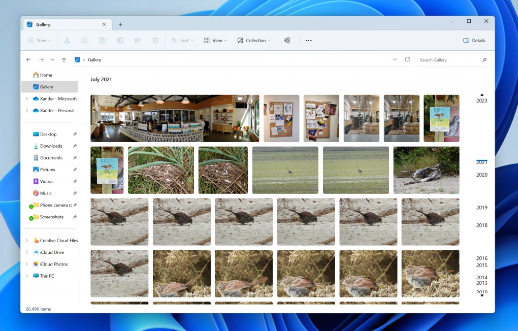 Windows 11 22631.2048版本带来拆分和合并选项卡功能