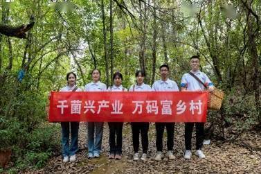 人工智能助力菌农发展,区块溯源助推乡村振兴